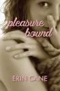 Pleasure Bound - Preview
