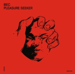 Capa do artigo Pleasure Seeker - Vinil
