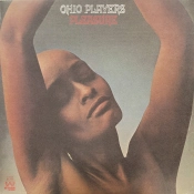 Capa do artigo Pleasure - Vinil