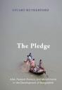 Pledge - Preview