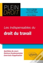 Plein Droit ; Les Indispensables Du Droit Du Travail