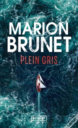 Capa do artigo Plein Gris
