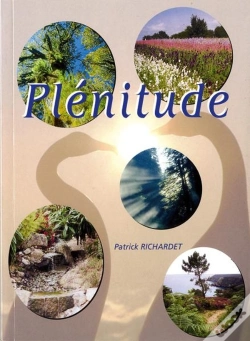 Capa do artigo Plenitude