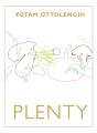Plenty - Preview