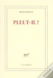 Capa do artigo Pleut-Il ?