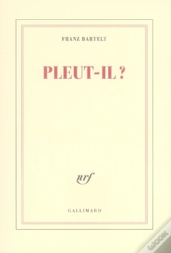 Capa do artigo Pleut-Il ?
