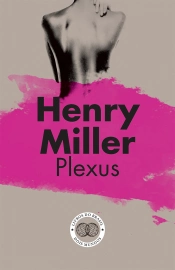 Capa do artigo Plexus