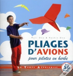 Capa do artigo Pliages D'Avions