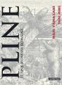 Pline T11 - Preview