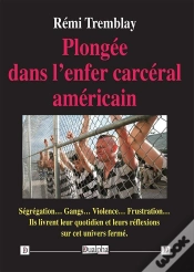 Capa do artigo Plongée Dans L