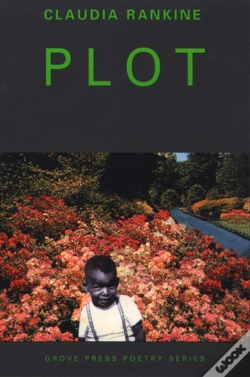 Capa do artigo Plot