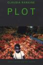 Plot - Preview