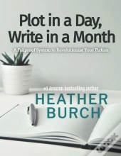 Plot In A Day, Write In A Month