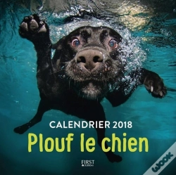 Capa do artigo Plouf Le Chien