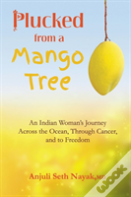 Plucked From A Mango Tree