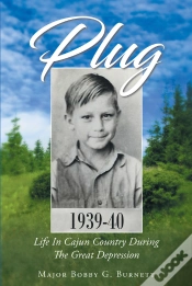 Capa do artigo Plug