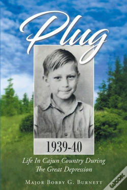 Capa do artigo Plug