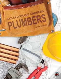 Capa do artigo Plumbers