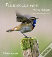 Plumes Au Vent