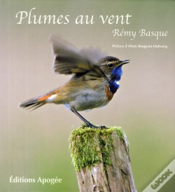 Capa do artigo Plumes Au Vent