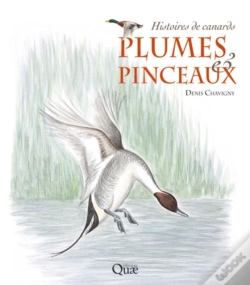 Capa do artigo Plumes Et Pinceaux