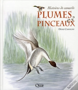 Capa do artigo Plumes Et Pinceaux. Des Histoires De Canards