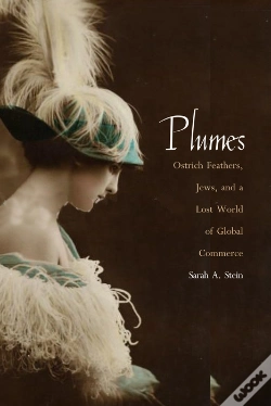Capa do artigo Plumes