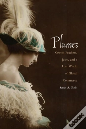 Capa do artigo Plumes