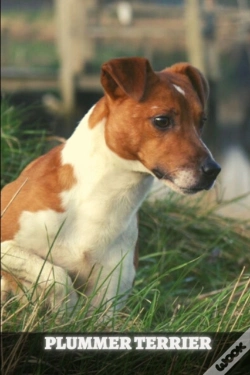 Capa do artigo Plummer Terrier