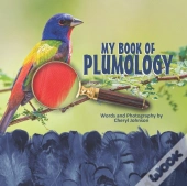 Plumology