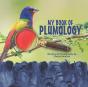 Plumology - Preview