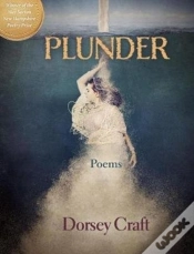 Capa do artigo Plunder