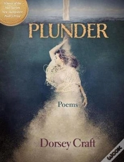 Capa do artigo Plunder