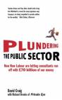 Plundering The Public Sector - Preview