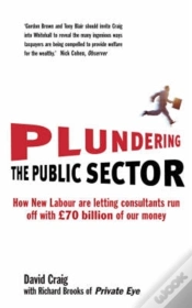 Capa do artigo Plundering The Public Sector