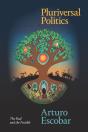 Pluriversal Politics - Preview
