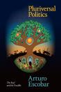 Pluriversal Politics - Preview