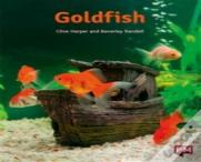 Pm Orange  Goldfish N Fic Lev16