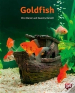 Capa do artigo Pm Orange  Goldfish N Fic Lev16