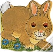 Capa do artigo Pocket Bunny