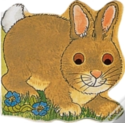 Capa do artigo Pocket Bunny