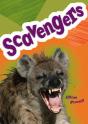 Pocket Facts Year 5: Scavengers - Preview
