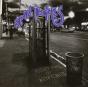 Pocket Full Of Kryptonite - CD - Preview