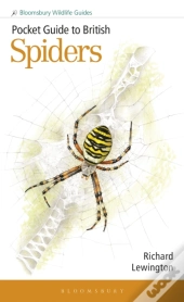 Pocket Guide To British Spiders