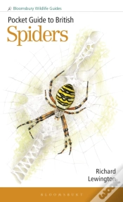 Capa do artigo Pocket Guide To British Spiders