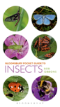 Pocket Guide To Insects