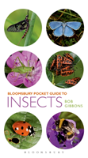 Pocket Guide To Insects - Preview