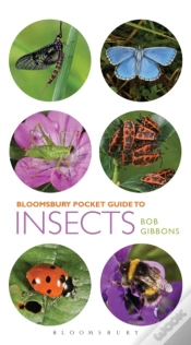 Capa do artigo Pocket Guide To Insects