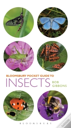 Capa do artigo Pocket Guide To Insects