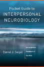 Pocket Guide To Interpersonal Neurobiology - Preview